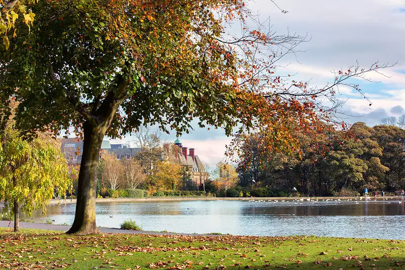 UK's Best Park Lakes & Urban Fishing Venues