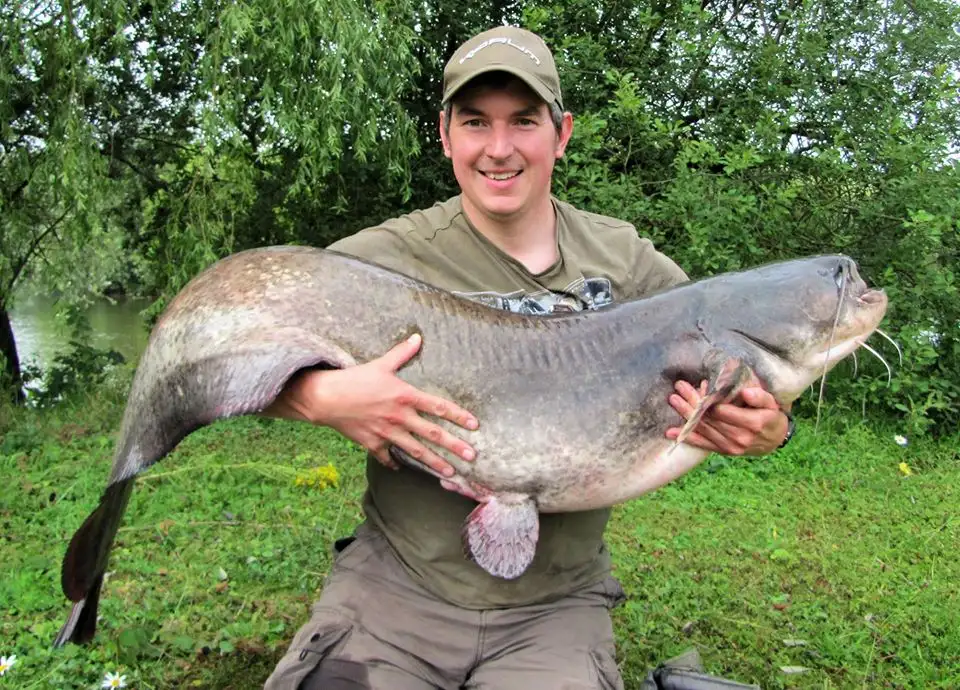 Catching Catfish – A Guide to Catfishing in the UK