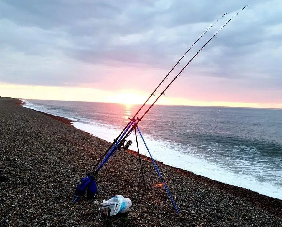 The Ultimate Buying Guide for Sea Anglers - What Equipment Do You NEED to Start Sea or Beach Fishing?