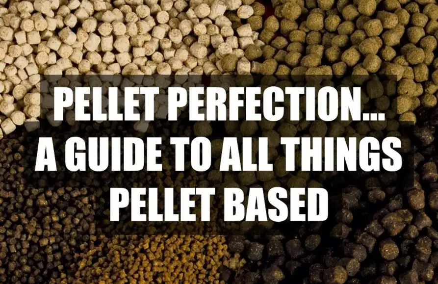 The Ultimate Guide to Fishing Pellet Perfection