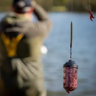 All You Need to Know About Feeders - Top 5 Feeder Fishing Rigs