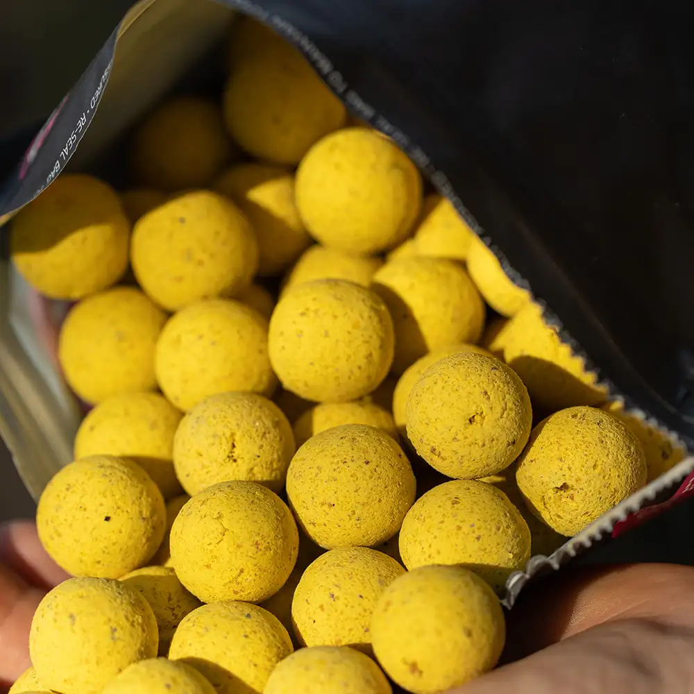 Mainline Essential Cell Shelf Life Fishing Boilies Close Up 1