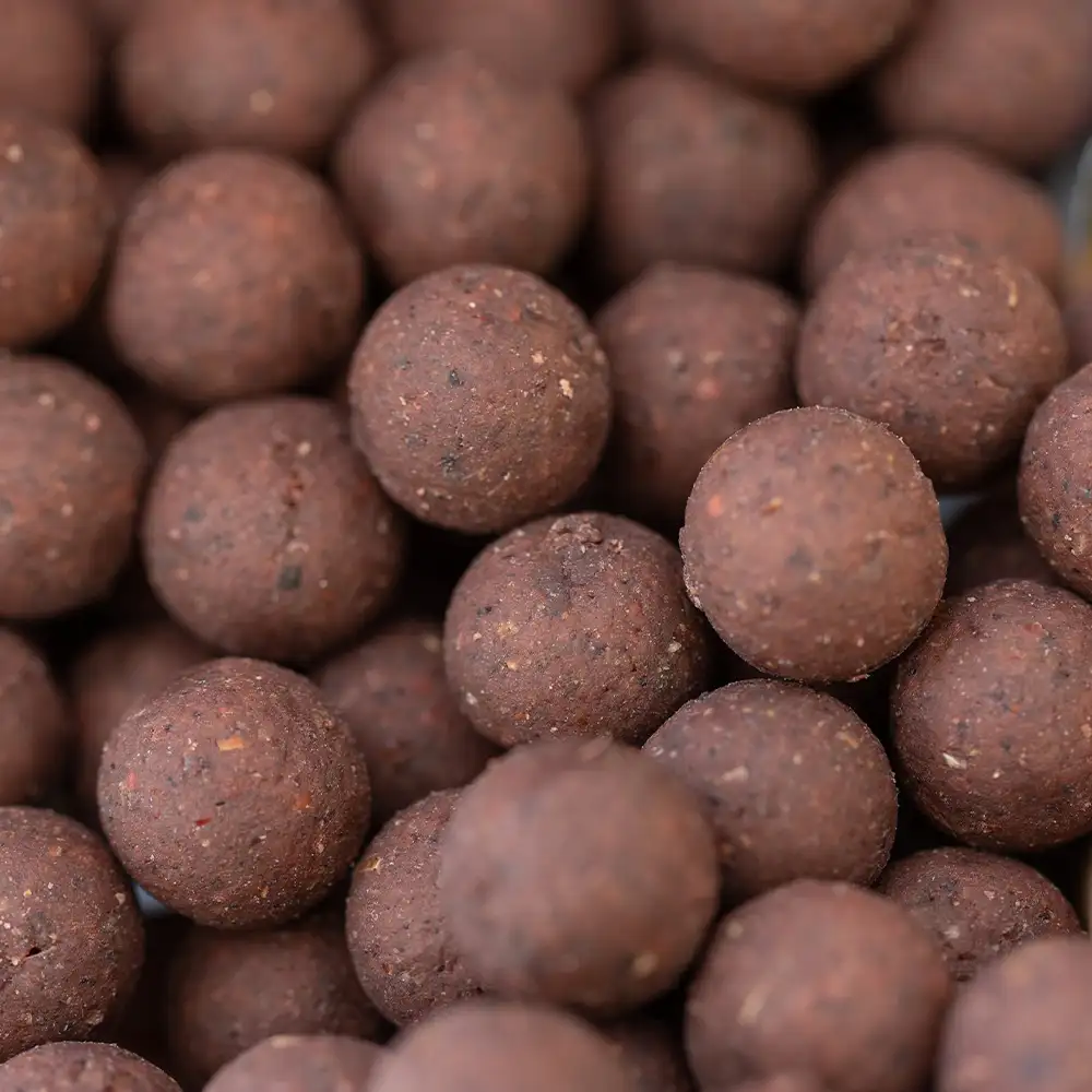 Mainline Link Shelf Life Fishing Boilies Close Up 1