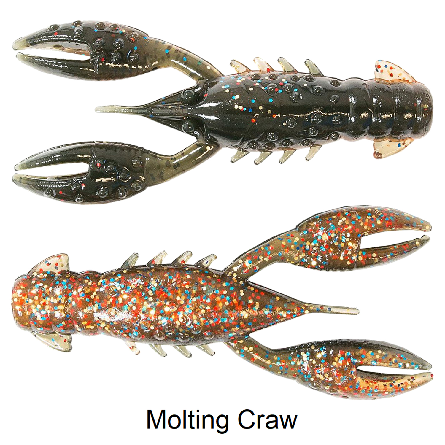 Molting Craw