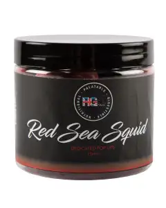 RG Baits Red Sea Squid Dedicated Pop Ups