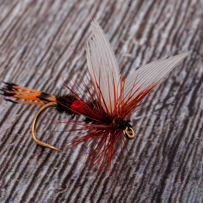 Dragon Dry Fly 1