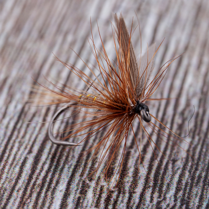 Dragon Dry Fly 1