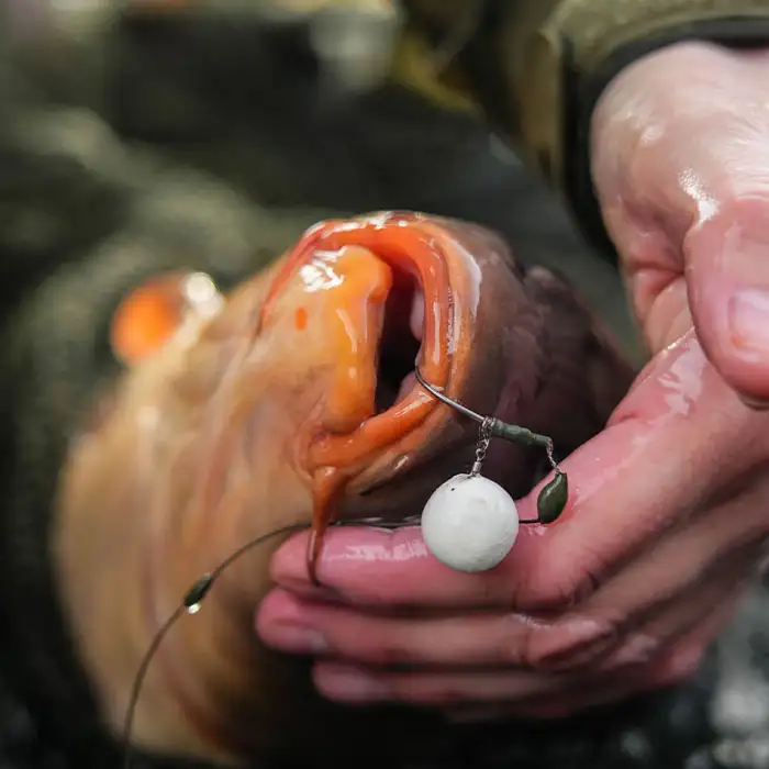 Sticky Baits AD Plumz Pop Ups 16mm In Use 7