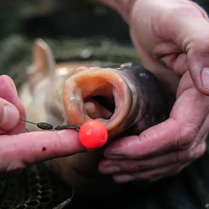 Sticky Baits AD Plumz Pop Ups 16mm In Use 8