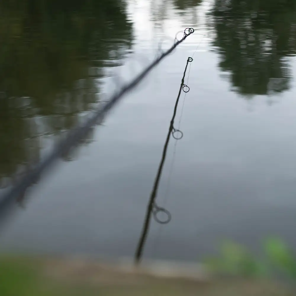 Advanta Carp Fishing Rod In Use 15