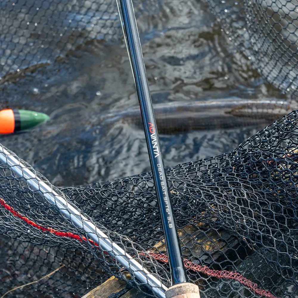 Advanta Deadbait Fishing Rod In Use 4