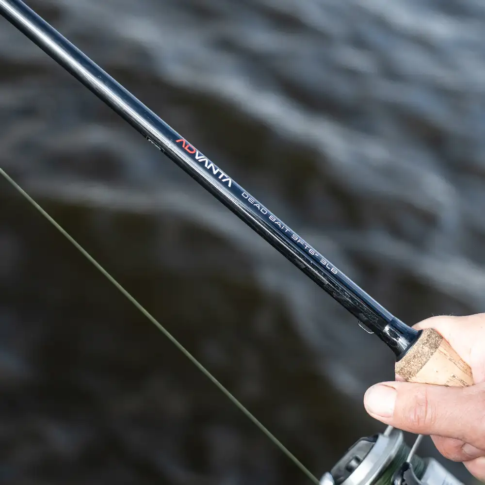 Advanta Deadbait Fishing Rod In Use 8