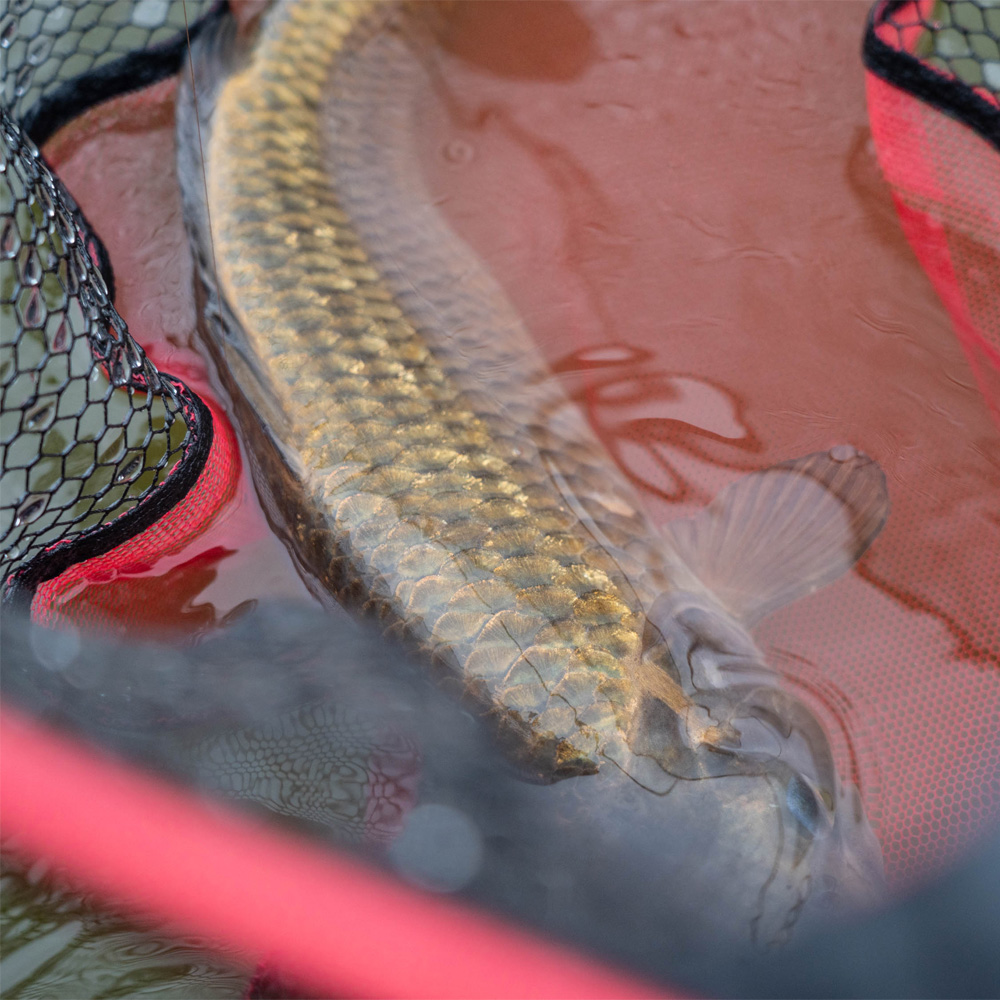 Nytro Spoon Latex Hair Mesh Landing Net Close Up In Use 1