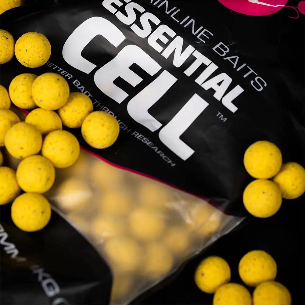 Mainline Essential Cell Shelf Life Fishing Boilies Close Up 4