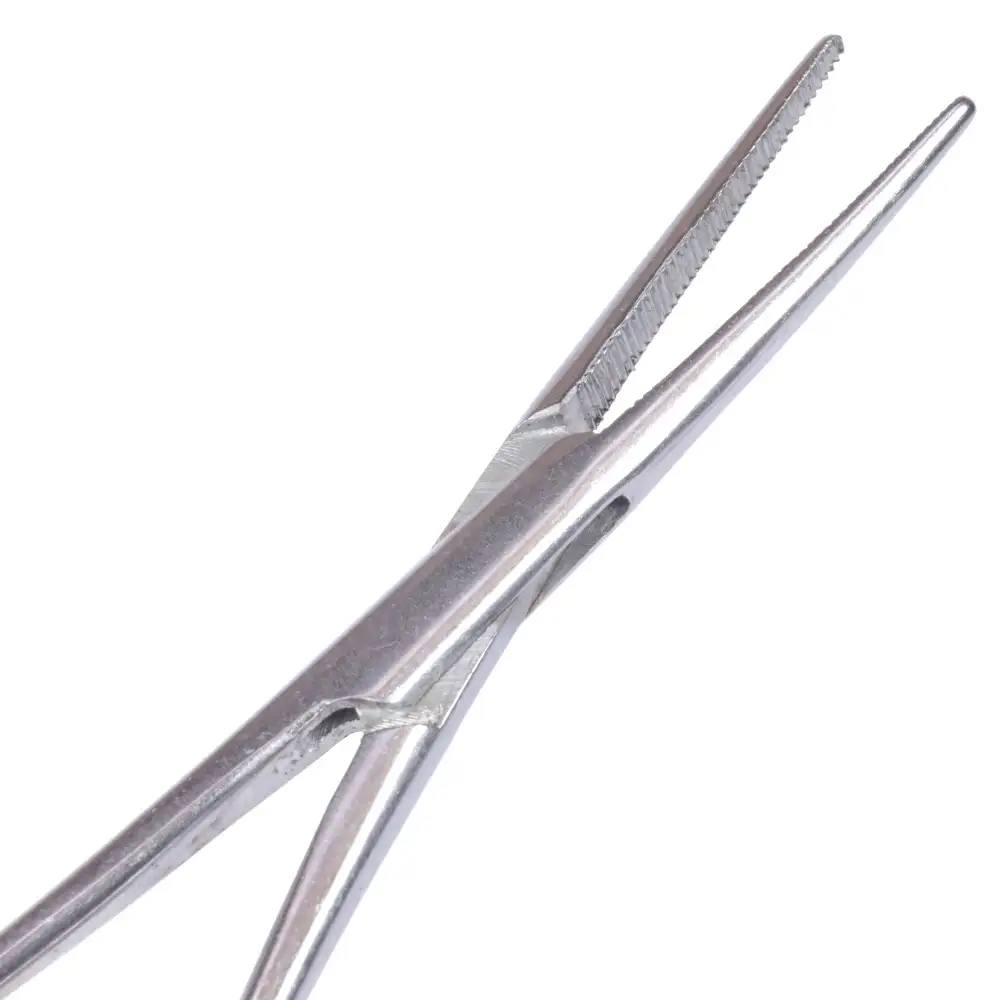 Advanta Stainless Steel Straight Forceps Close Up 2