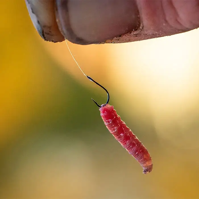 Guru Match Special Rig 8 Inch In Use 3