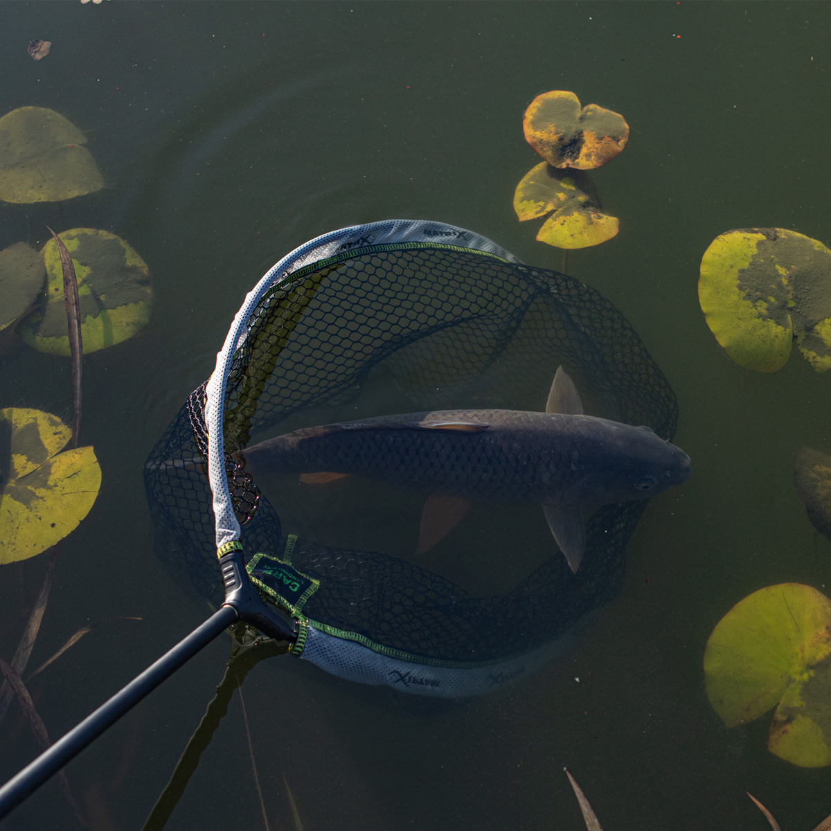 Matrix Carp Landing Net In Use 2