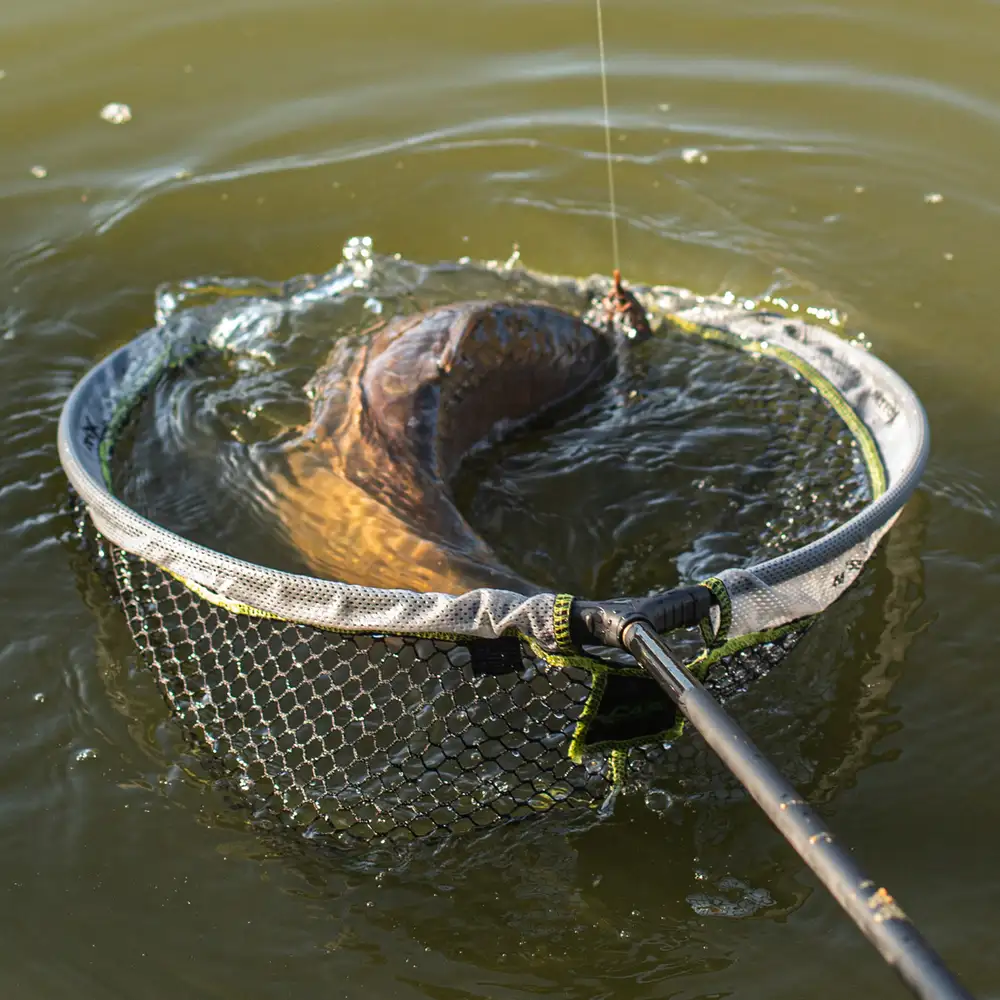 Matrix Carp Landing Net In Action