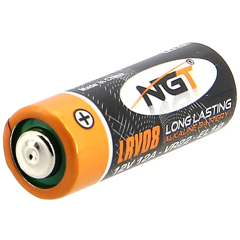 NGT LRV08 Batteries 1