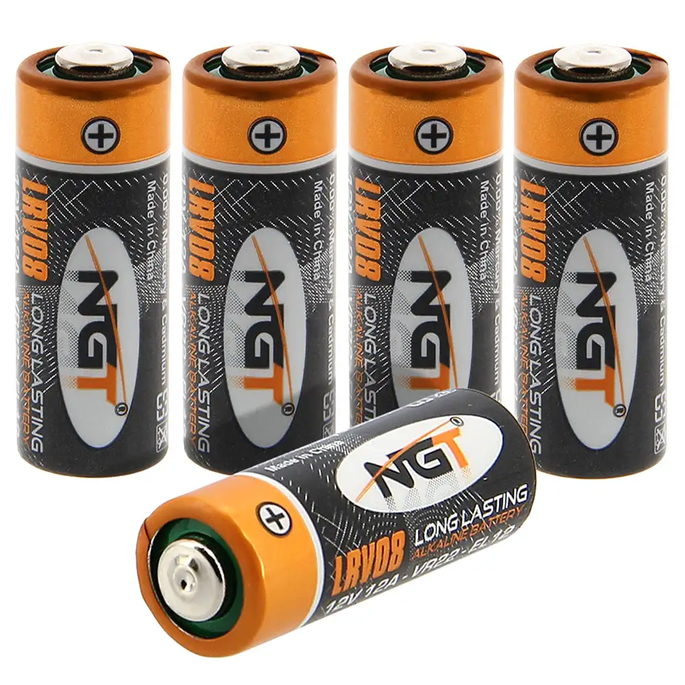 NGT LRV08 Batteries 2