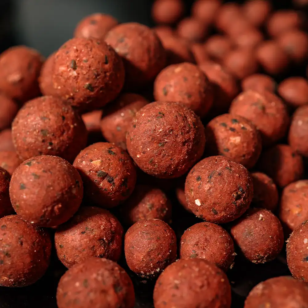 RG Baits Red Sea Squid Stabilised Boilies Close Up