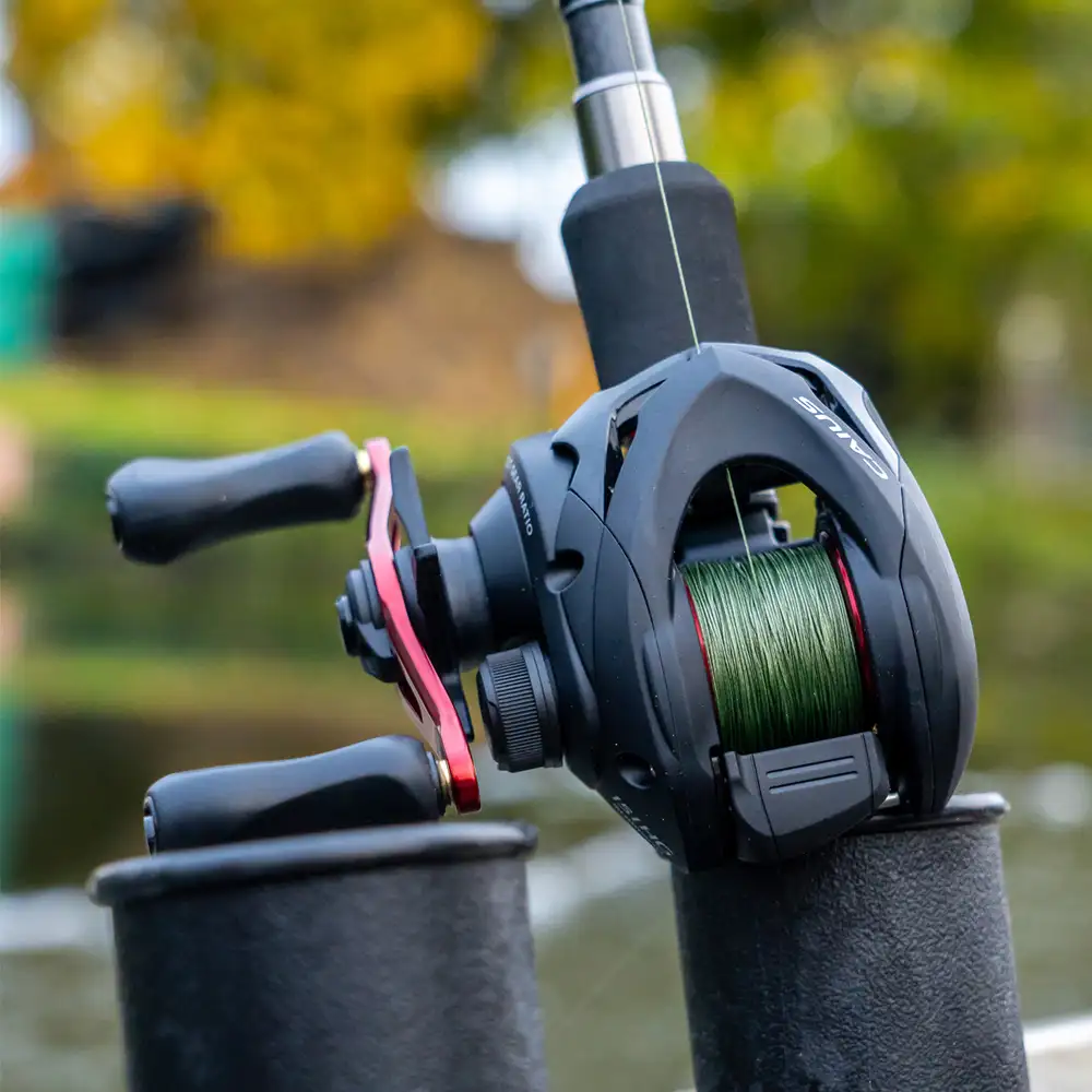 Shimano Caius Reels In Use