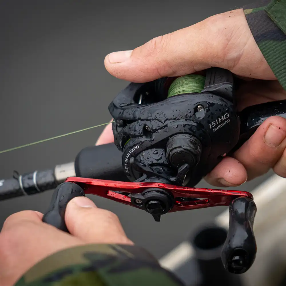 Shimano Caius Reels In Action