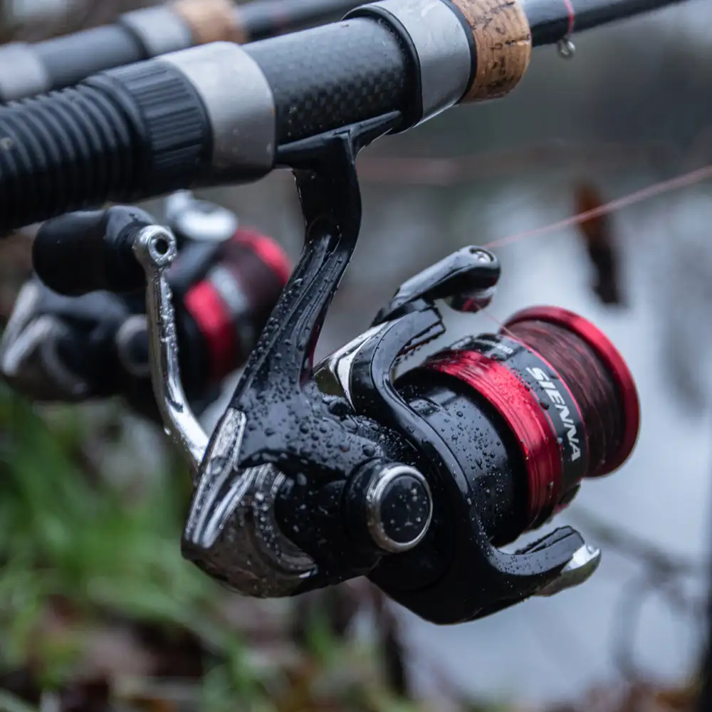 Shimano Sienna FG Reel In Use 2