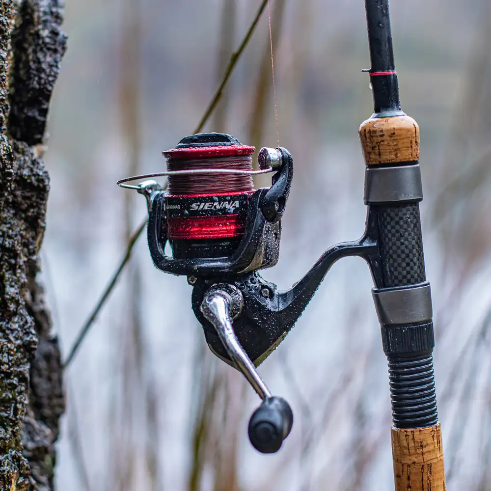 Shimano Sienna FG Reel In Use 3