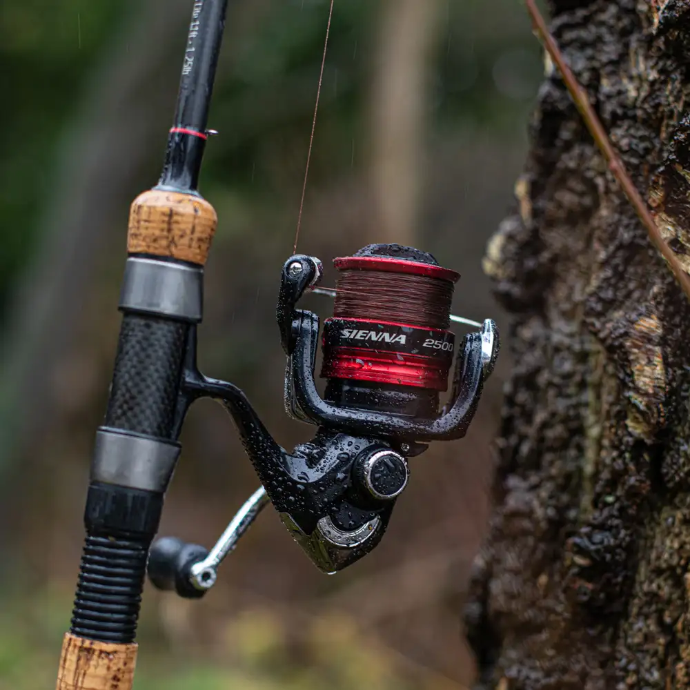 Shimano Sienna FG Reel In Use 5