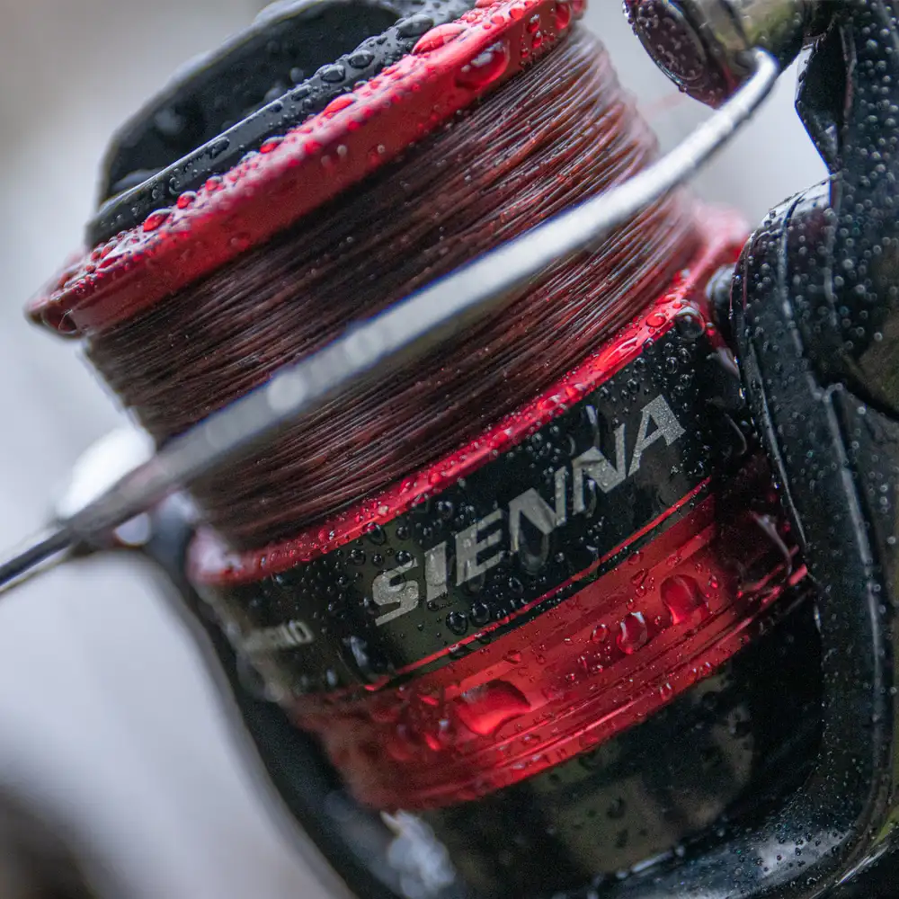 Shimano Sienna FG Reel Close Up