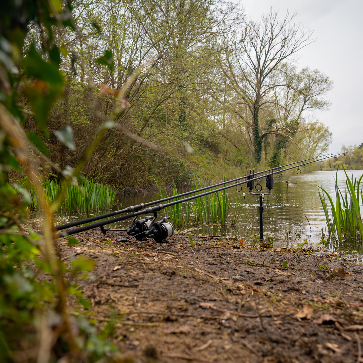 Shimano Tribal TX-1A Fishing Rods In Use 1