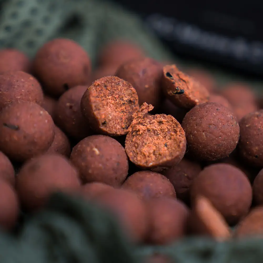 CC Moore Pacific Tuna Shelf Life Boilies Lifestyle