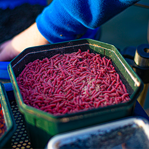 Fishing Bait Boxes