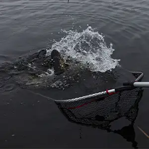 Predator Fishing Landing Nets