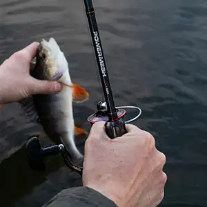 Predator Fishing Rods